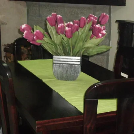 Serra Da Estrela Seven